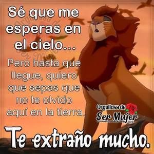 Meet your Posher, Luis